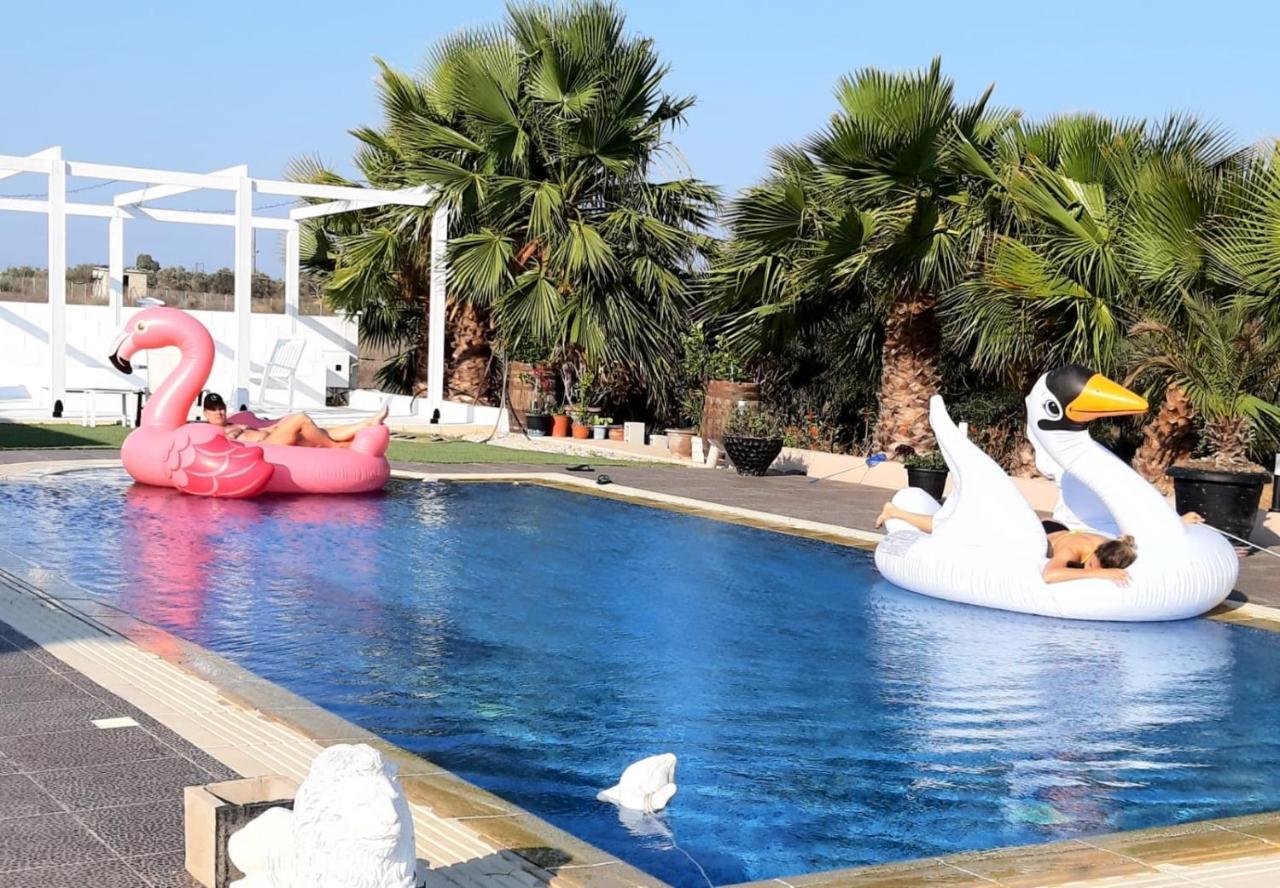 The Pervoli Studio - Pool - Close To Beach Larnaca Exteriér fotografie